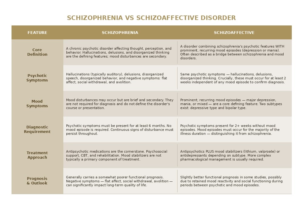 schizophrenic vs schizoaffective
