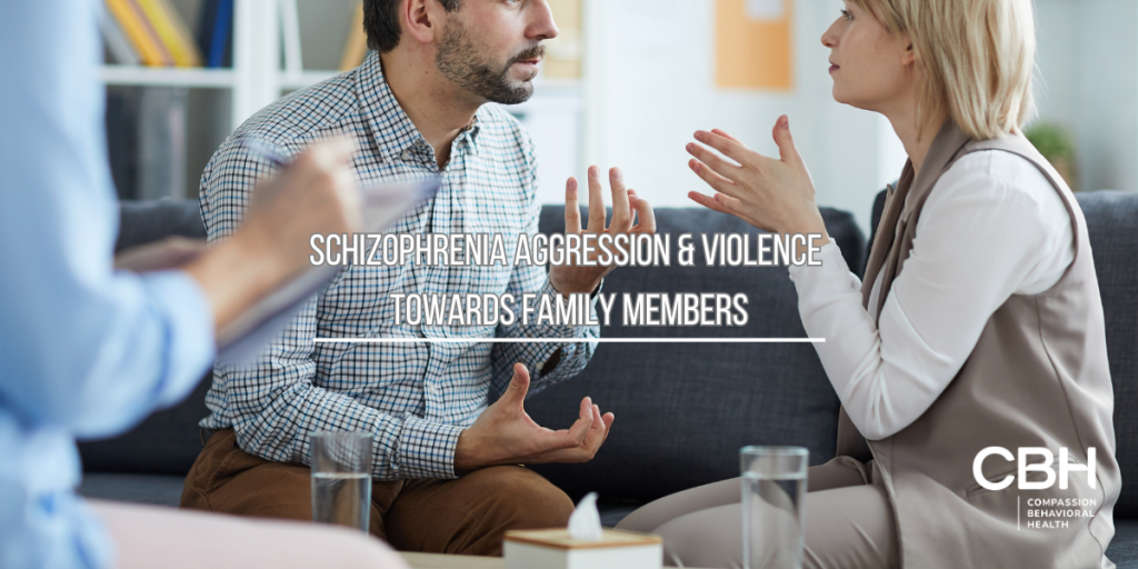 Schizophrenia-Related Aggression & Violence Towards Family Members