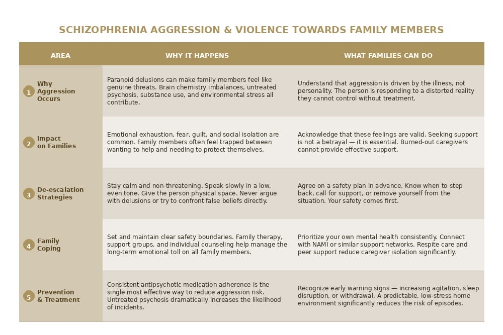 schizophrenia aggression