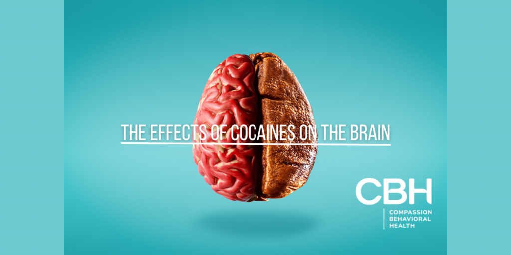 The Effects of Cocaines on the Brain