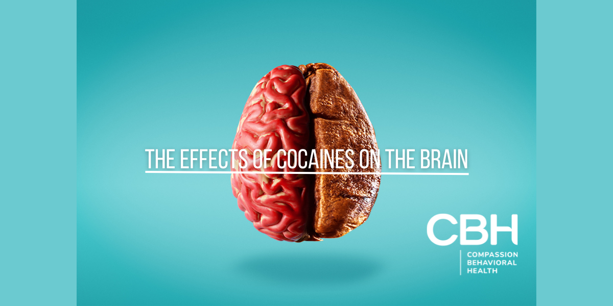 The Effects of Cocaines on the Brain
