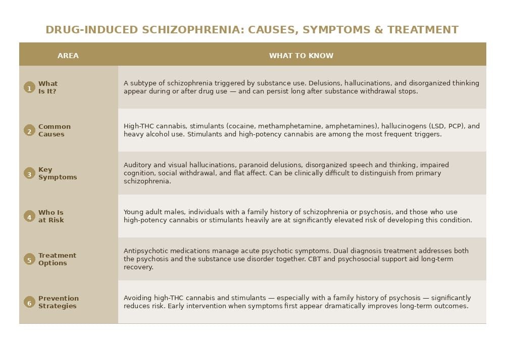 drug induced schizophrenia