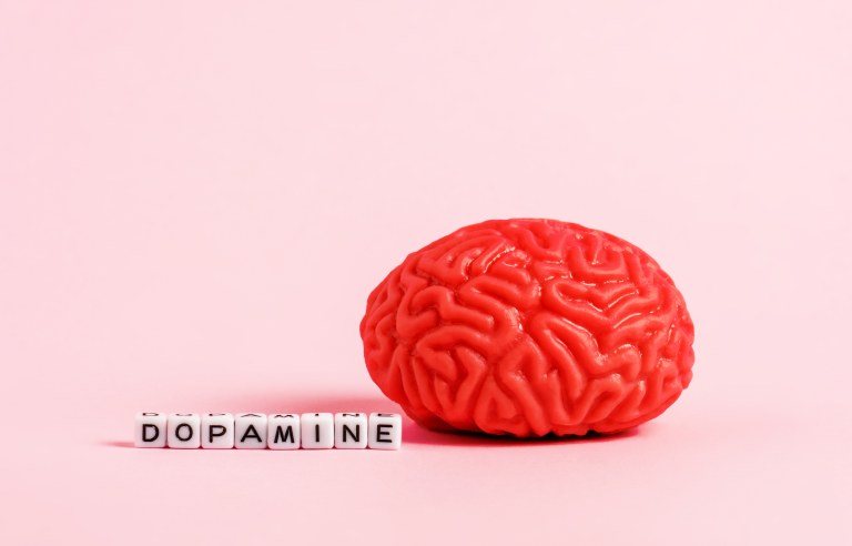 dopamine-from-meth-use