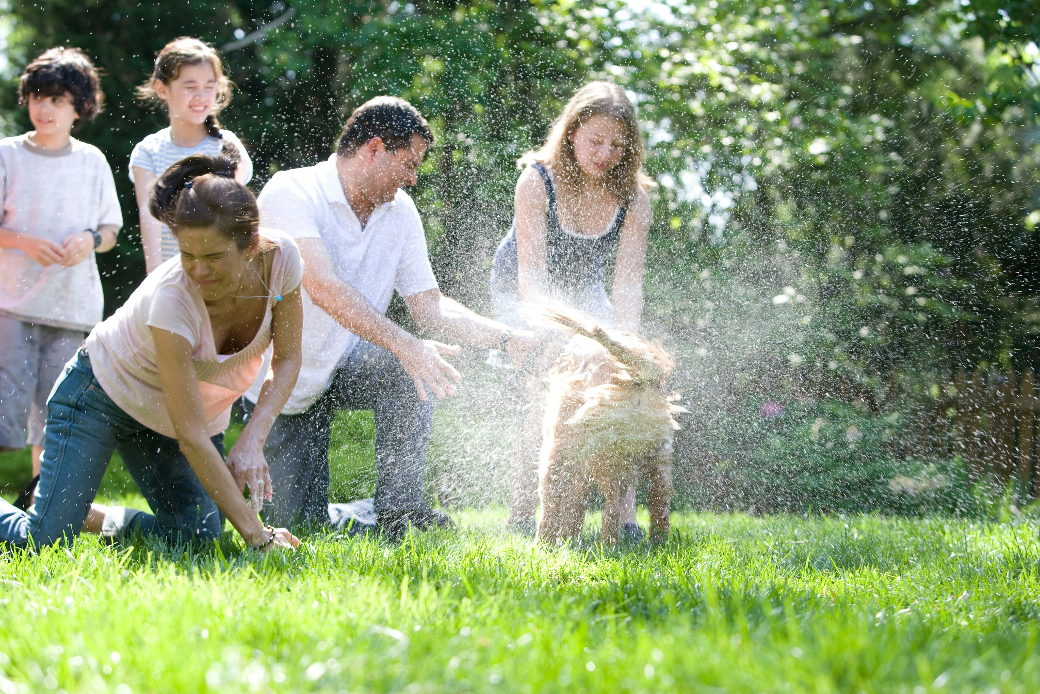 A supportive environment fostering engagement in wellness activities